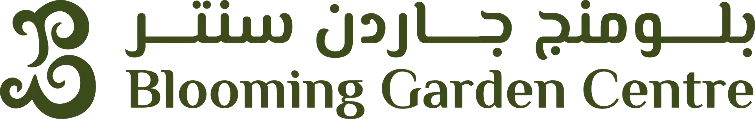 My Website